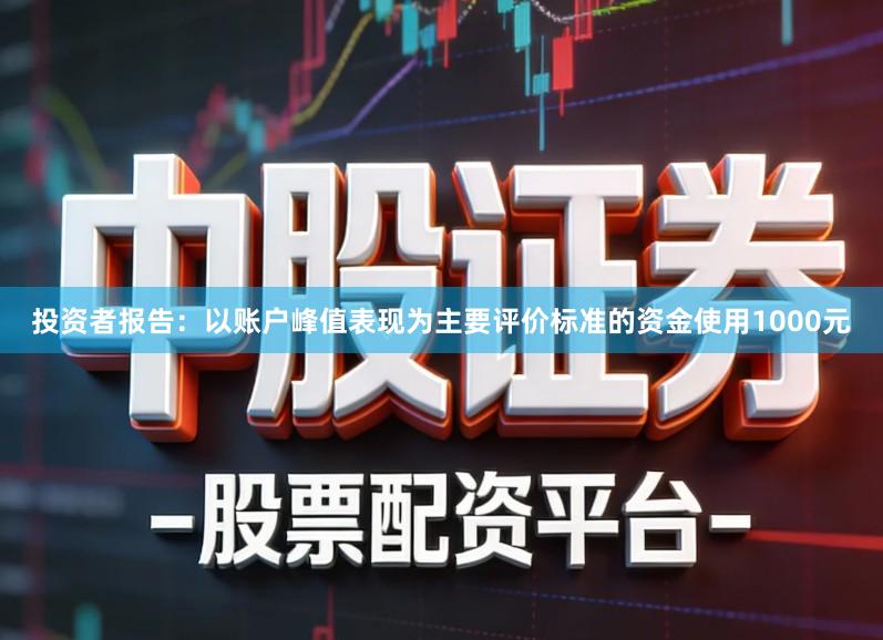 投资者报告：以账户峰值表现为主要评价标准的资金使用1000元