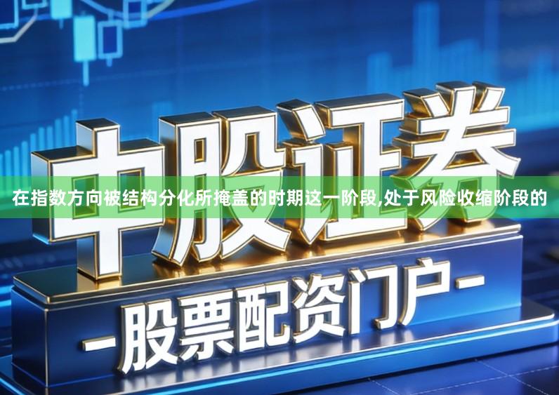 在指数方向被结构分化所掩盖的时期这一阶段,处于风险收缩阶段的