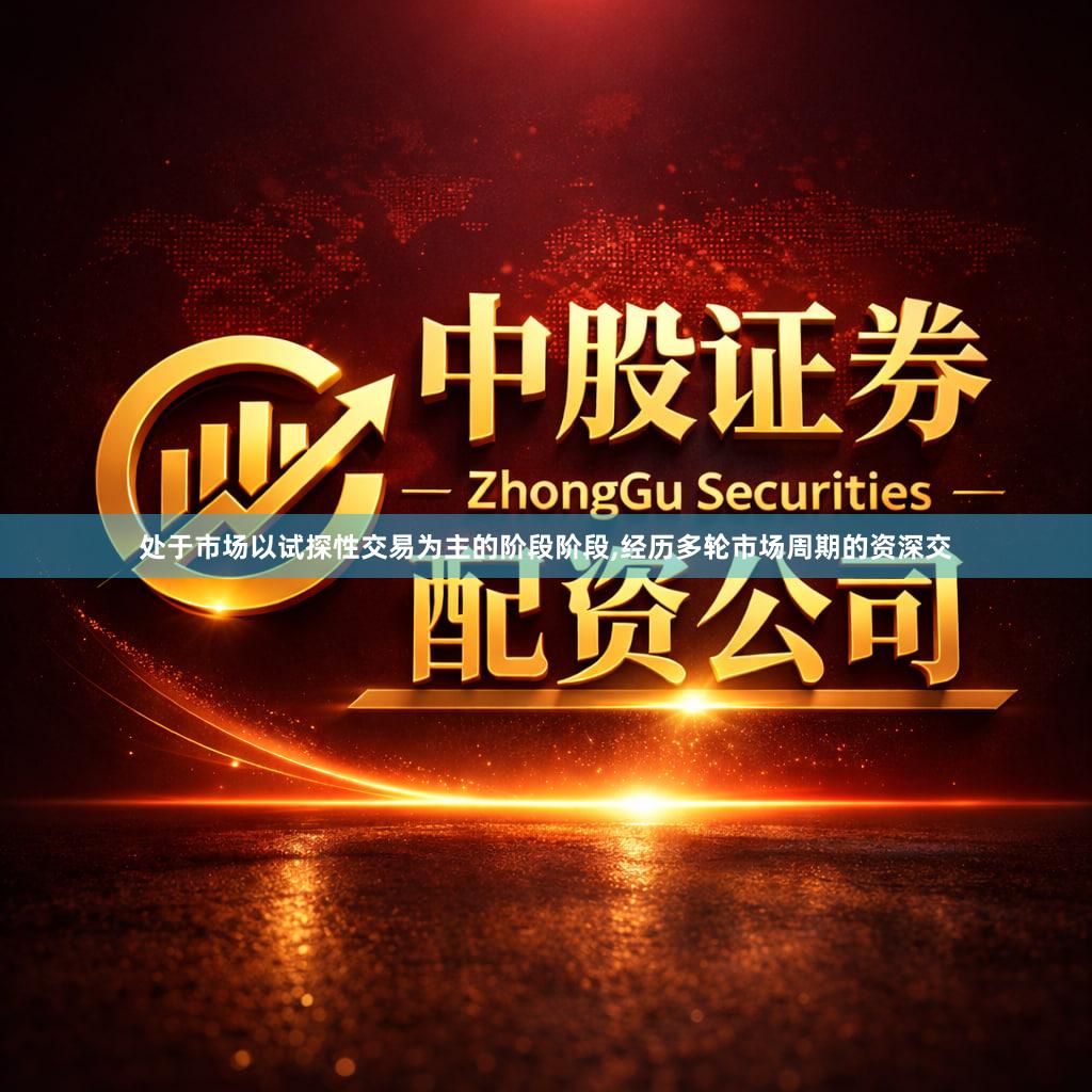 处于市场以试探性交易为主的阶段阶段,经历多轮市场周期的资深交