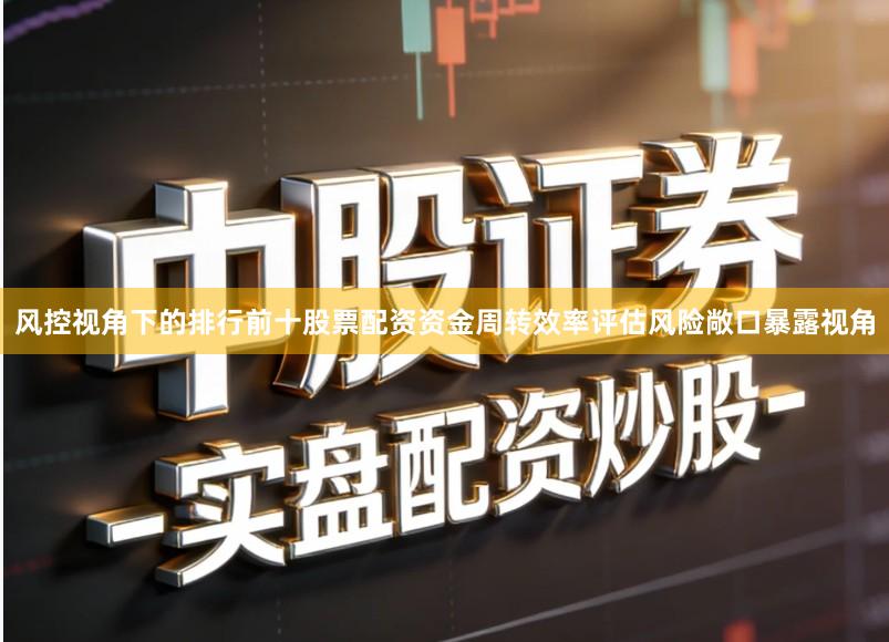 风控视角下的排行前十股票配资资金周转效率评估风险敞口暴露视角