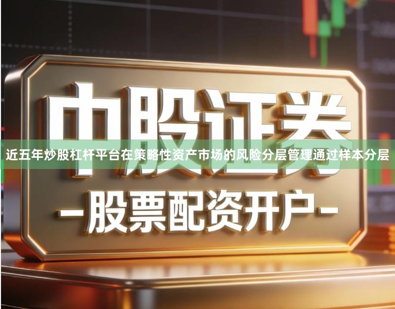 近五年炒股杠杆平台在策略性资产市场的风险分层管理通过样本分层